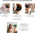 Beautiful Self-Watering Wick System for Effortless Plant Care, Automatic Drip Irrigation, Sustainable & Stylish Scandinavian Design, Ideal for House Plants (S, Black)