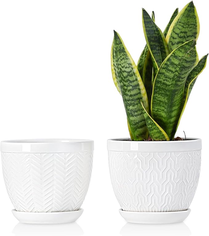 Sureasy 6.5 Inch Ceramic Plant Pots, Embossed Decorative Planters with Drainage Hole and Saucer, Modern Flower Pots for Indoor Plants, Set of 2, White