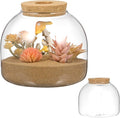 ULTECHNOVO Glass Terrarium Jar with Wood Stopper for Hydroponic Plants and Moss - 5.90 Inch Airtight Container for Micro Landscape Decor in Bedroom, Office, or as Gift for DIY Gardeners