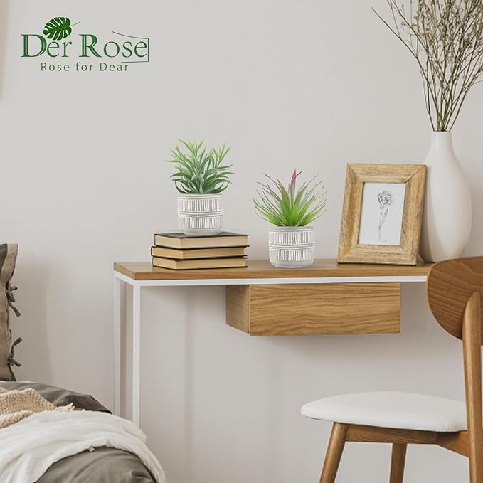 Der Rose 2 Pack Fake Succulents Plants Artificial Succulents in Pots for Room Home Bathroom Bedroom Office Boho Decor