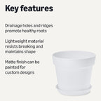 Amazon Basics Plant Pot with Saucer, 8 inch, White, 1-Pack