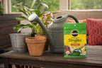 Miracle-Gro Watering Can Singles All Purpose Water Soluble Plant Food - Fertilizer for Flowers, Vegetables, Houseplants, Trees, Indoor and Outdoor Plants, 24 Packets