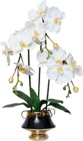 CXGS Orchids Artificial Flowers Realistic Fake Flowers in Ceramic Vase 20" White Faux Plants Indoor Lifelike Soft PU Phalaenopsis for Centerpiece Hotel Home Decor