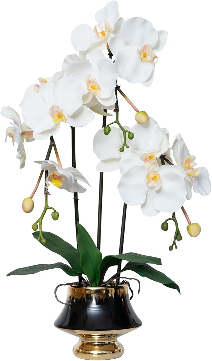 CXGS Orchids Artificial Flowers Realistic Fake Flowers in Ceramic Vase 20" White Faux Plants Indoor Lifelike Soft PU Phalaenopsis for Centerpiece Hotel Home Decor