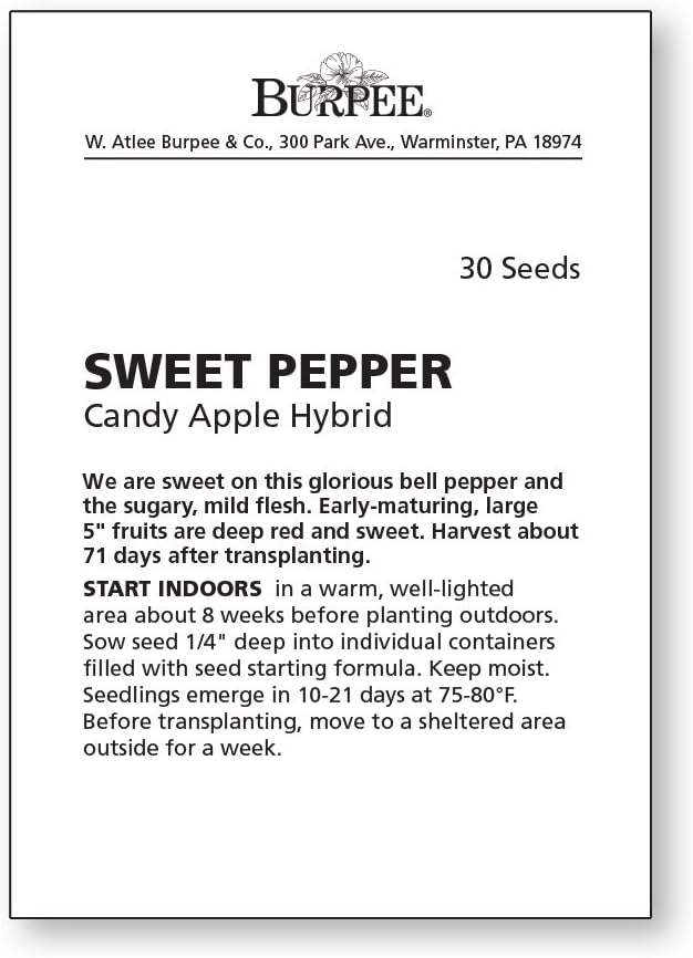 Burpee Sweet Candy Apple Hybrid Bell Pepper Seeds – Sweet Red Pepper Seeds for Home Garden Growing