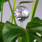 [6 PCS] Light Iridescent Rainbow Gradient Color Clear Glass Self-Watering System Spikes, Automatic Plant Waterer Bulbs