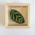 DIY Live Plant Art – Grow Your Creation with Terra Gel | Easy to Use | Living Plants in Every Picture