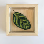 DIY Live Plant Art – Grow Your Creation with Terra Gel | Easy to Use | Living Plants in Every Picture