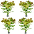 SubstrateSource Live Aquarium Stem Plants - Freshwater Aquatic Plant for Fish Tanks, Aquascaping - (Water Wisteria Hygrophila Difformis, 4 Bunches)