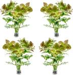 SubstrateSource Live Aquarium Stem Plants - Freshwater Aquatic Plant for Fish Tanks, Aquascaping - (Water Wisteria Hygrophila Difformis, 4 Bunches)