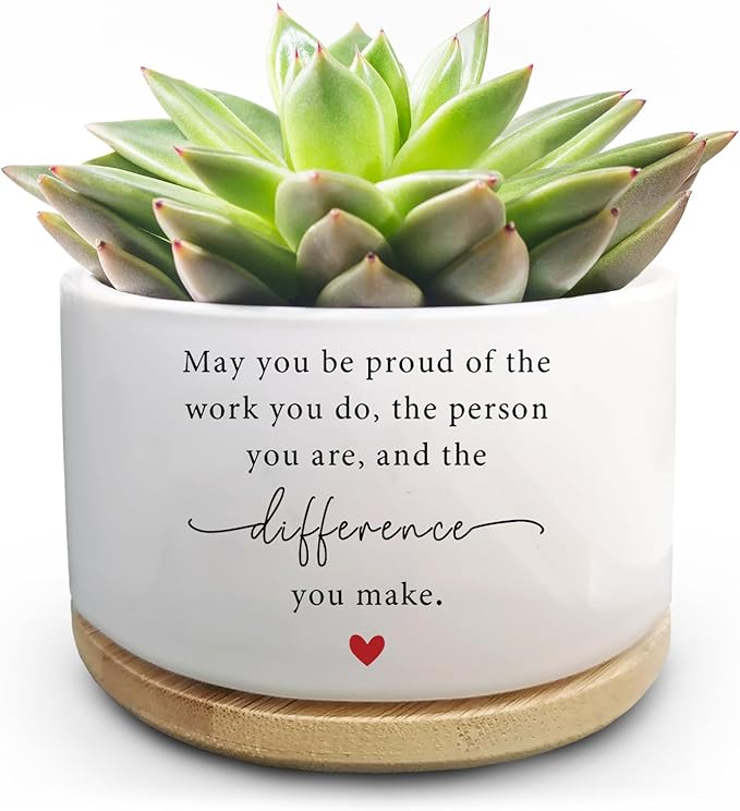 Funny Succulent Plant Pot, Cactus Flower Planter Gifts, Thank You Gifts for Coworker, Farewell Going Away Appreciation Inspirational Gifts for Women Men Boss Manager Coworkers (No Plants)