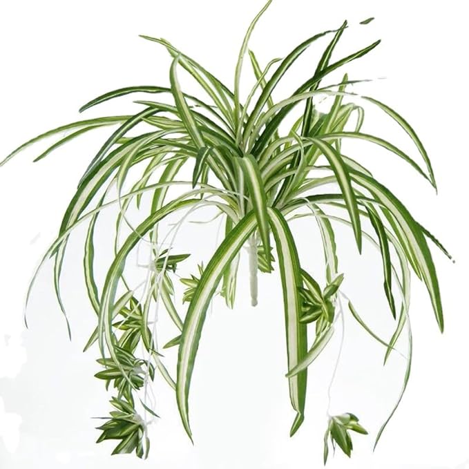5 Packs Artificial Spider Plant Silk Faux Chlorophytum Comosum Fake Spider Hanging Plant for Outdoor Indoor Home Garden Office Decoreation