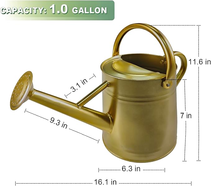 Watering Can for Outdoor&Indoor Plants，1 Gallon Metal Watering Can with with Removable Spout，Galvanized Steel Garden Flower Water Can Plant Watering Pot with 2 Handles，Gold