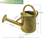 Watering Can for Outdoor&Indoor Plants，1 Gallon Metal Watering Can with with Removable Spout，Galvanized Steel Garden Flower Water Can Plant Watering Pot with 2 Handles，Gold