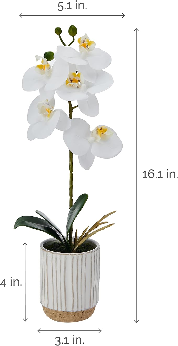 Mikasa Artificial Orchid in Pot, Real Touch Phalaenopsis Orchid, Cream Glaze Ceramic Pot, 16-Inch Single Branch, White/Yellow