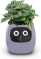 Smart Flowerpots,Smart Pet Planter,Ai Planter,Intelligent Flowerpots,Multiple Expressions,7 Smart Sensors, And Ai Chips Make Raising Plants Easy And Fun For Living Room,Desk,Plant-free (Purple)