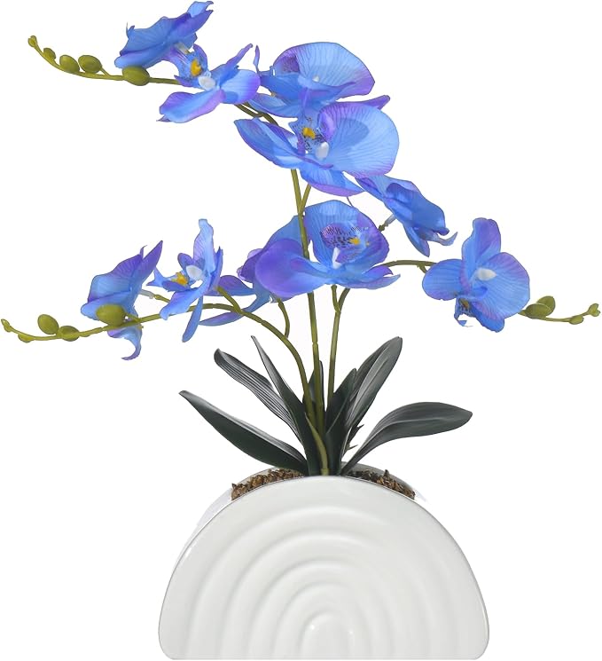 Fake Orchid Plant in White Rainbow Pot, Artificial Silk Phalaenopsis Orchid Flowers for Home Décor, Table Centerpiece, Office Desk (Blue Purple)