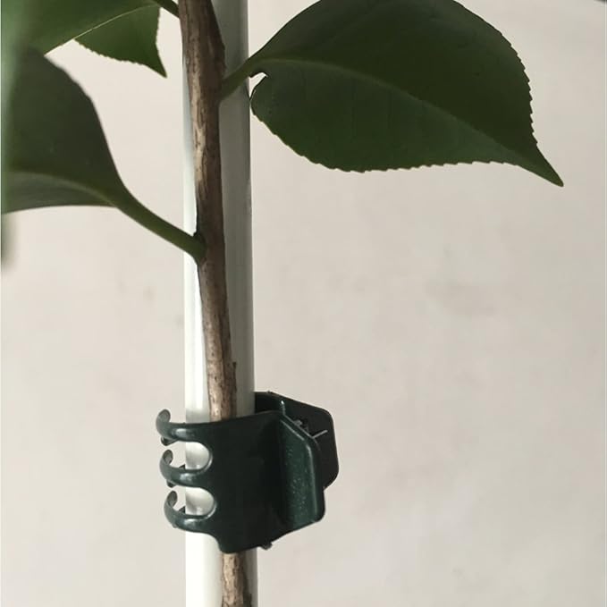50 PCS Large Size Orchid Clips and Garden Support Clips Green (Not with Flower and Plant Spike)