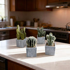 4Pcs Realistic Faux Cactus Set, Lifelike Resin Mini Cacti in Pots - No-Care Artificial Plants for Home Office Desk Decor, Shelf, Party - Durable, Easy Clean, for Plant Lovers
