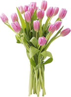 KaBloom - Barbie Pink Tulip : Bouquet of 20 Fresh Pink Tulip with Vase - Fresh Flowers for Birthday, Valentine's & Mother's Day