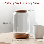 Exclusive Glass Terrarium, Beautifully Enhanced by a Natural Wood lid and Base. Excellent for Plants and Decoration, for Home or Office: Size: 8.7" Tall (22 cm) by 6.3" Wide (16 cm)