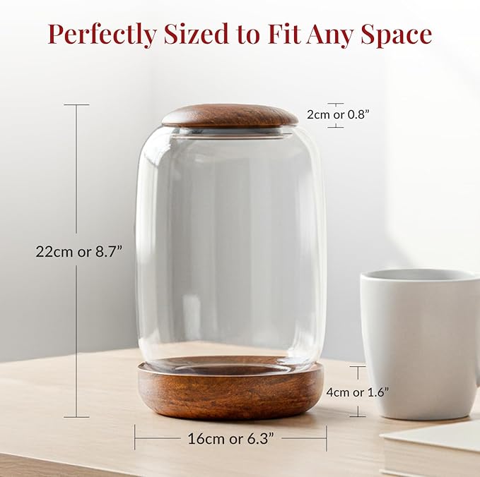 Exclusive Glass Terrarium, Beautifully Enhanced by a Natural Wood lid and Base. Excellent for Plants and Decoration, for Home or Office: Size: 8.7" Tall (22 cm) by 6.3" Wide (16 cm)