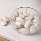 20LB River Pebbles Polished Gravel for Plants Natural White Plant Stones River Rocks 3/4-1 5/8 Inch River Stones for Landscaping Small Pebbles for Crafts
