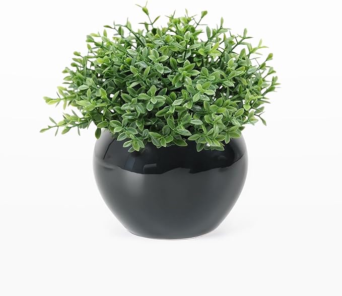 Velener Fake Sage Plants for Shelf Decor, Small Artificial Succulents Grass Desk Plant for Office Women, Mini Faux Plant Indoor, Masculine Home Decor, Coffee Table Decor in Pot