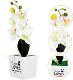 HEALLILY Artificial Orchid Bonsai Plant Faux Phalaenopsis Decoration for Home Office Wedding Table Centerpieces Potted Flower for Lively Indoor Atmosphere