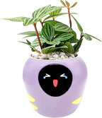 Smart Plant Pot with Expression, AI Intelligent Flower Pot for Indoor Decoration, Smart Garden Pot with Water/Light/Temperature Sensors, Ivy AI Planter (Purple（Big）)