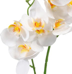Artificial White Phalaenopsis Orchid Bonsai Faux Potted Plant Lifelike Tabletop Fake Flower Ornament Home Decor for Living Room Office