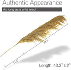 Gold Pampas Grass Decor Tall,Dried Pampas Grass for Vase, Natural Pompas Floral, Elegant Feather Flowers for Wedding Living Room Farmhouse Decorations (Natural Golden, 4pcs 43.3"(110cm))