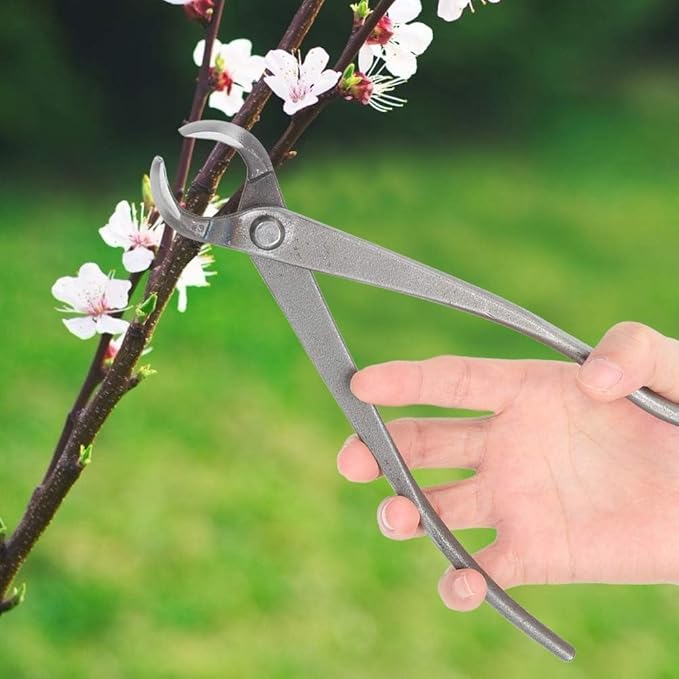 Bonsai Cutters, 8.5inch Concave Cutter Bonsai Tools Stainless Steel Bonsaii Tree Knob Cutter Gardening Concave Pruner Tree Branch Cutter Long Reach Bonsaii Tools