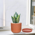 Yukfona Ceramic Plant Saucer Pot Tray 10.7 Inch, Planter Saucers 6 7 8 9 10 11 12 15 Inch, Durable Sturdy Flower Drainage drip Water Tray for Glazed Pots Base (10.7Inch- Red Terracotta)