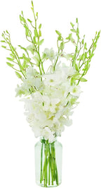 eflowerwholesale - Premium Cut White Orchids (10 stems with Vase) (Support Small Business)