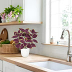 Artificial Plants Indoor 14.2" Small Fake Perilla Plant in Pot Potted Plants Artificial Decor Faux House Plant with White Pot for Farmhouse Home Office Bathroom Living Room Table Shelf Decor