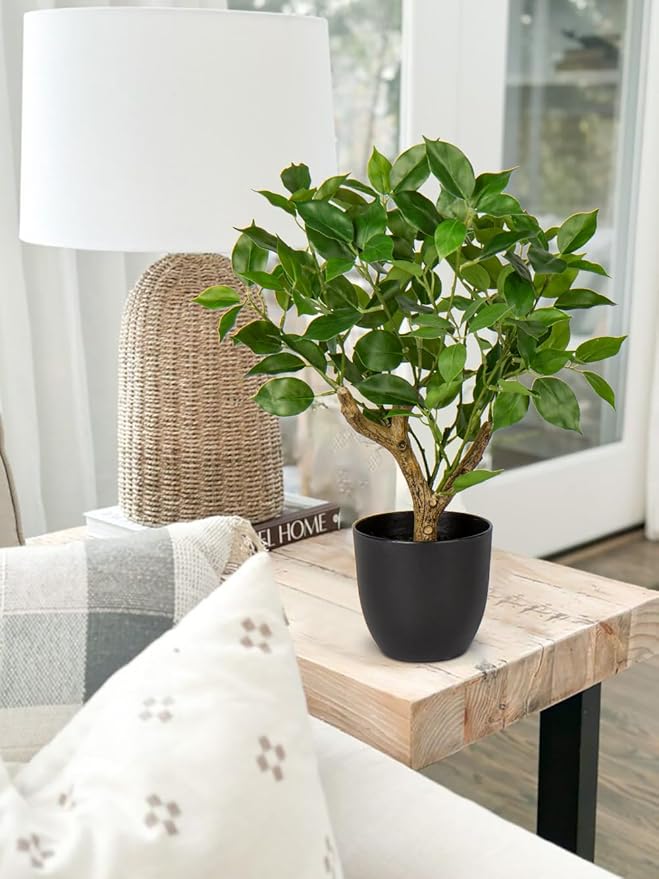 GnFlus Artificial Tree, 17'' Ficus Bonsai, Premium Faux Planted Potted Decor for Home Table Office Desk Bathroom Bedroom Living Room Farmhouse