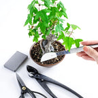 Wazakura Japanese Sap Rust Eraser for Blades, Garden Scissors, Bonsai Tools, Floral Hasami Shears, Made in Japan - Sap Eraser