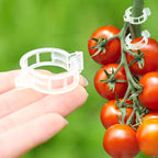120pcs White Plant Support Clips - Tomato Clips for String Trellis, Grape Vine Clips for Garden Netting Climbing Plants, Secured Plastic Plant Clip for Fixing Stem and Vine