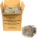 Mosser Lee Spanish Moss – Natural Decorative Moss for Houseplants, Soil Cover, Crafts, Terrariums & Floral Arrangements - 2.4 Cubic Foot