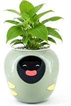 Plantbot Upgraded Large Smart Flower Pot Pet Planter Robot with Artificial Intelligence, Time Temperature Display, and Numerous Expressive Animations Based, for Indoor Decoration, Gifts (Green)