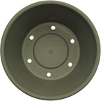 Bloem Terra 6" Diameter Round Living Green Resin Planter Pot with Drainage Holes for Indoor and Outdoor Gardening