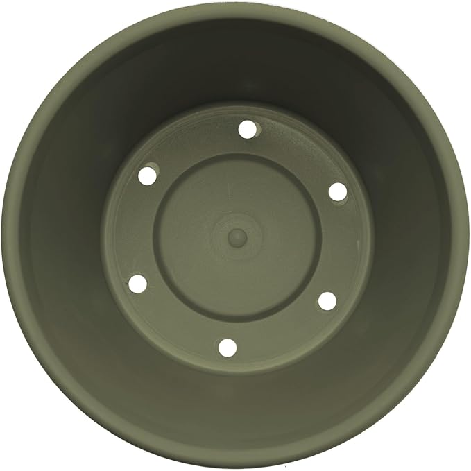 Bloem Terra 6" Diameter Round Living Green Resin Planter Pot with Drainage Holes for Indoor and Outdoor Gardening