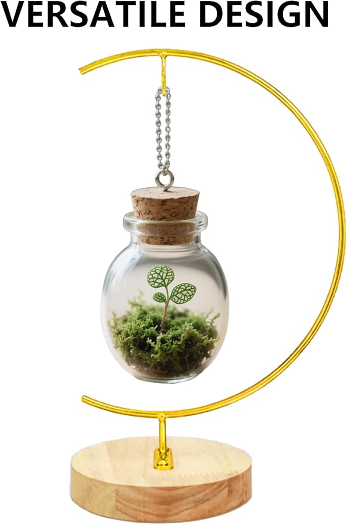 YY YEARCHY Awesomes Terrarium Ornament Display Stand Metal Stand Air Plant Stand Flower Pot Stand Holder Iron Pothook Stand for Hanging Glass Terrarium Globe Ball (2, Bright Gold)