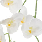Artificial Phalaenopsis Orchid Branches Faux Butterfly Orchid Stems White Real Touch Artificial Flower Arrangement for Home Living Room Office Decoration