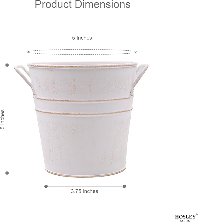 Hosley Set of 3 Whitewash Metal Bucket with PVC Liner, 5-Inch Height Plant Pot, Ideal for Floral Arrangements, Wedding, Home Office, Party, Garden Patio, DIY Indoor, Outdoor Garden.