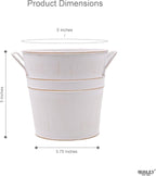 Hosley Set of 3 Whitewash Metal Bucket with PVC Liner, 5-Inch Height Plant Pot, Ideal for Floral Arrangements, Wedding, Home Office, Party, Garden Patio, DIY Indoor, Outdoor Garden.