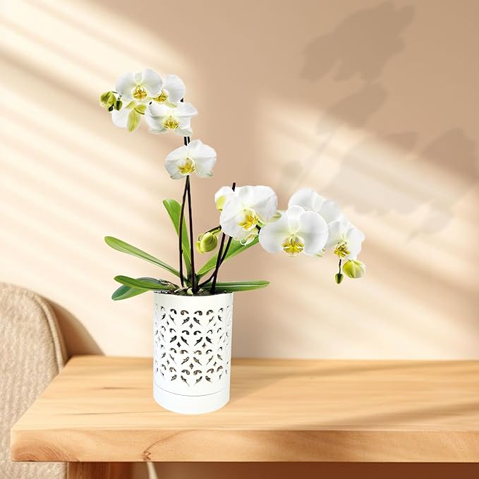 Orchid Pots with Holes 4 Inch, Ceramic Orchid Pot for Repotting with Saucers,More Ventilation Hole Easy Breathing, Plant Pot for Repotting Orchids and Other Flowers - Indoor/Outdoor