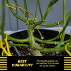 BudHuggers (Red) for Optimal Plant Training | 50ft (15M) | 3mm Thick Garden Wire Ties | Flexible & Durable | Rubber Plant Ties to Yield Bigger Buds, Stronger Branches & Larger Canopies