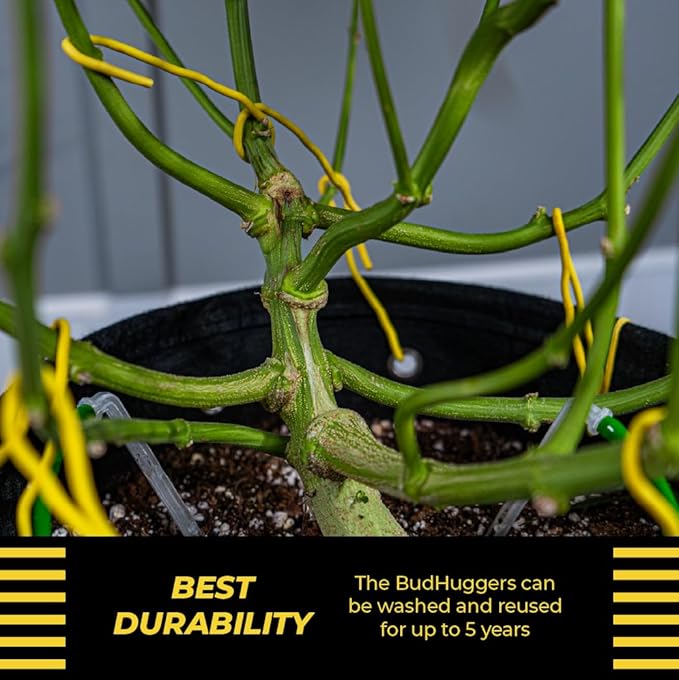 BudHuggers (Green) for Optimal Plant Training | 50ft (15M) | 3mm Thick Garden Wire Ties | Flexible & Durable | Rubber Plant Ties to Yield Bigger Buds, Stronger Branches & Larger Canopies